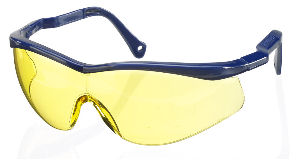 Beeswift Colorado Safety Glasses