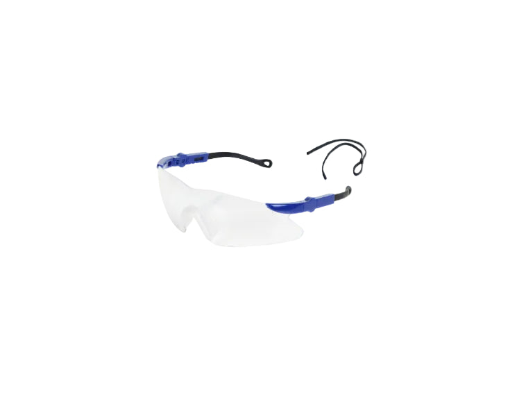 Beeswift Texas Safety Glasses