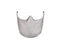 Bolle Universal Visor Clear