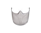 Bolle Universal Visor Clear