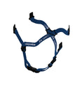 Centurion Nexus Heightmaster Safety Helmet 4 Point Harness Blue