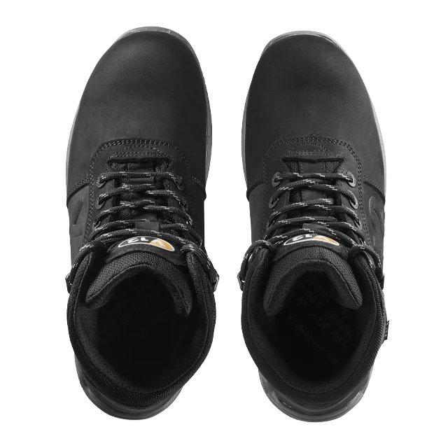 V2145 Lynx IGS