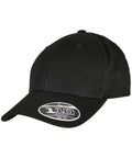 Flexfit 110 Organic Cap