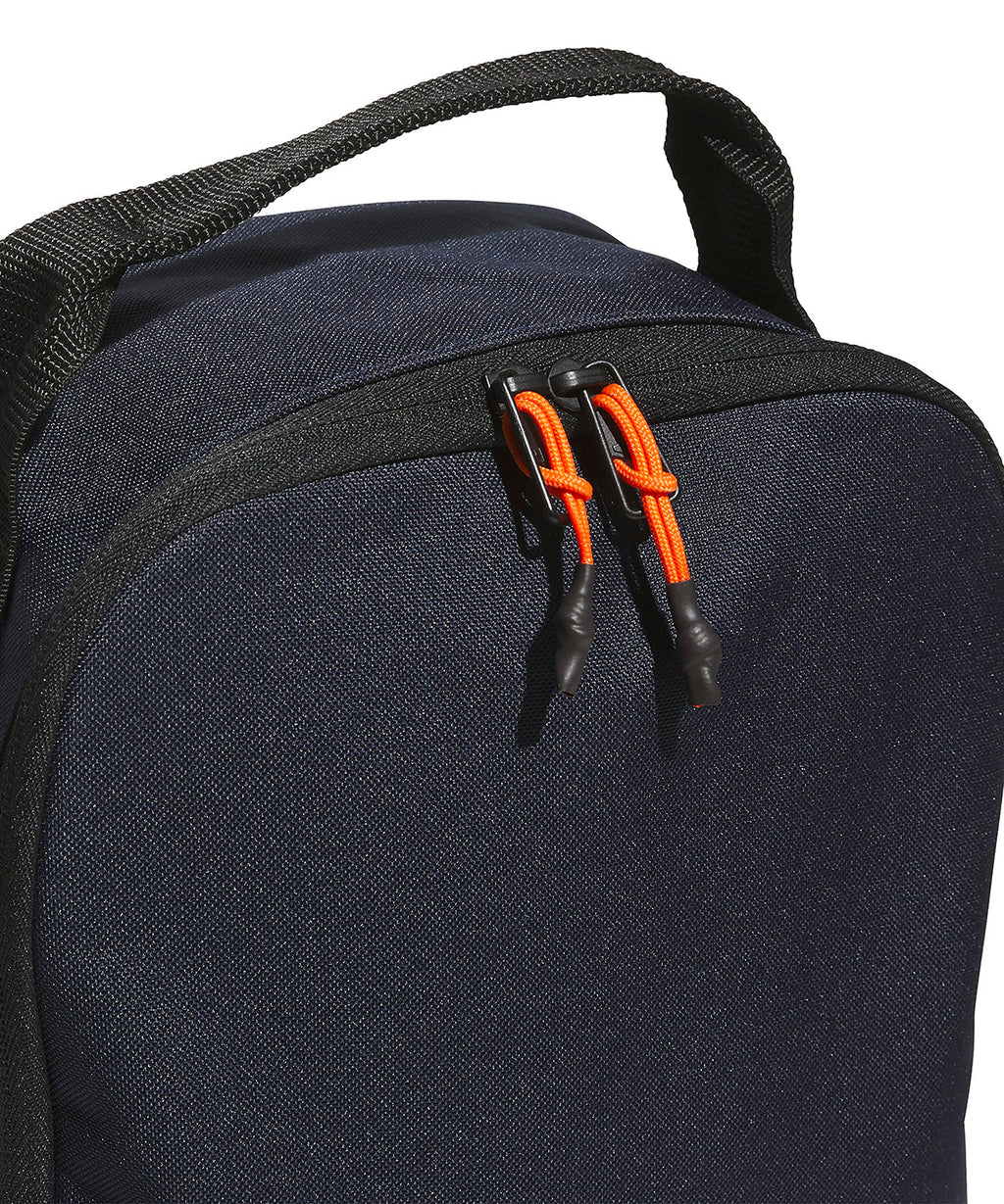 Shoe bag