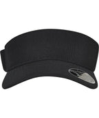 110 Visor