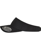 110 Visor