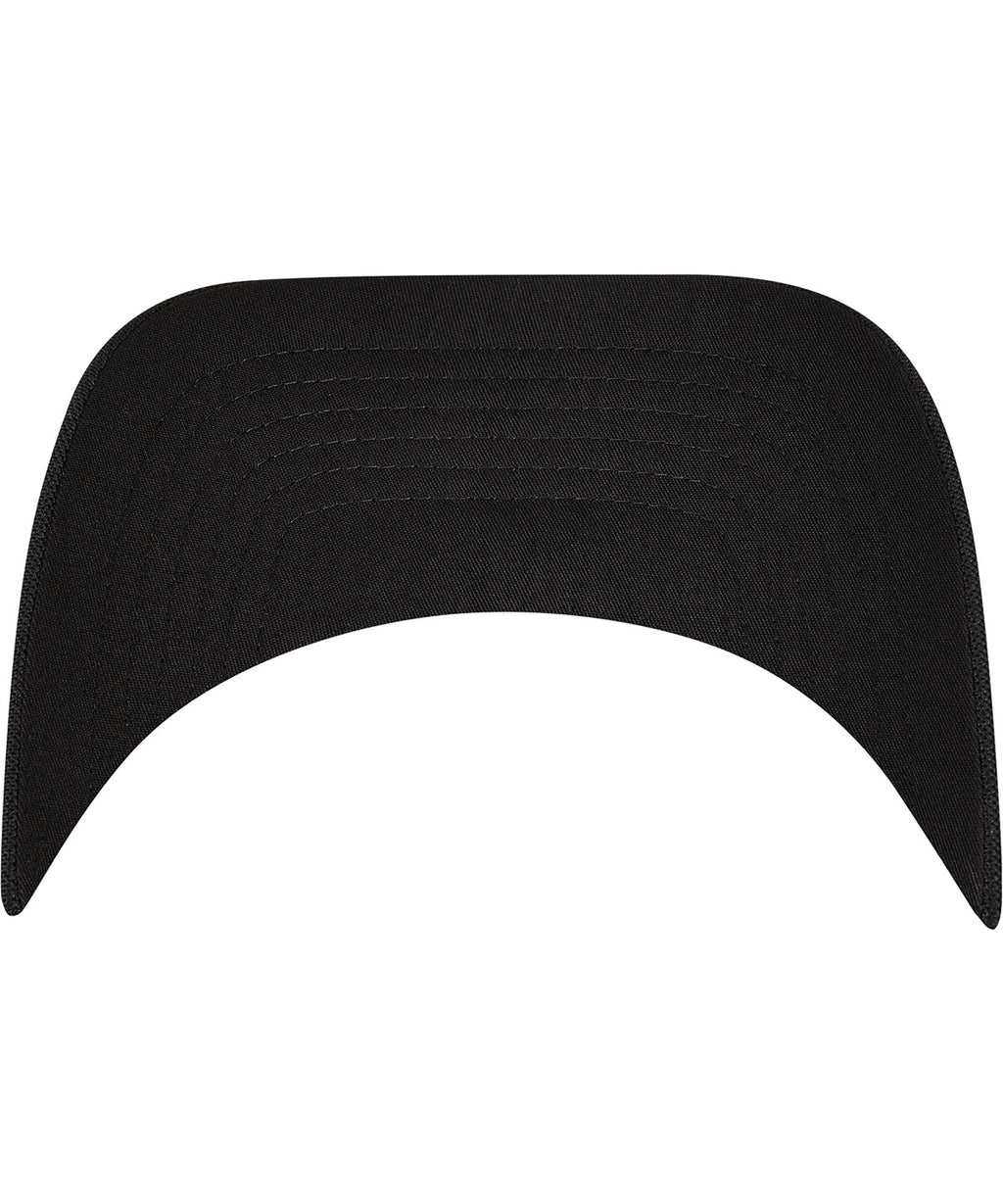 110 Visor