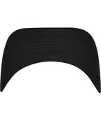 110 Visor
